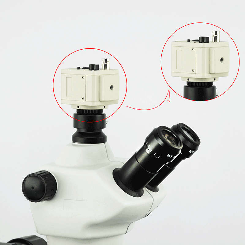 Coupler and Camera Adapter